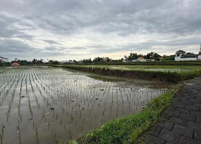 2 Bedrooms Private Loyik 2 * Ubud (Bali)